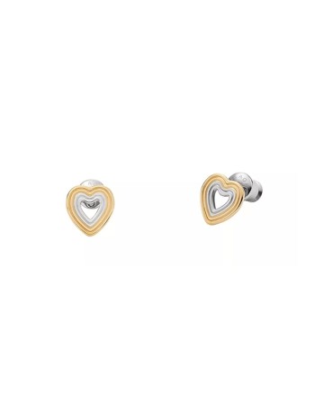 Boucles d´oreilles Femme Skagen SKJ1677998