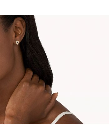 Øreringe til kvinder Skagen SKJ1677998