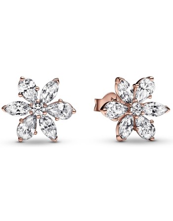 Orecchini Donna Pandora 282407C01 Argento puro 925