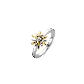 Ring til kvinder Ti Sento 12244ZY/56 16