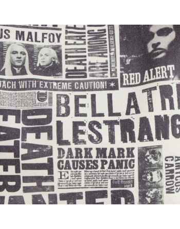 Bolso Mujer Harry Potter Gris 36 x 39 x 0,4 cm