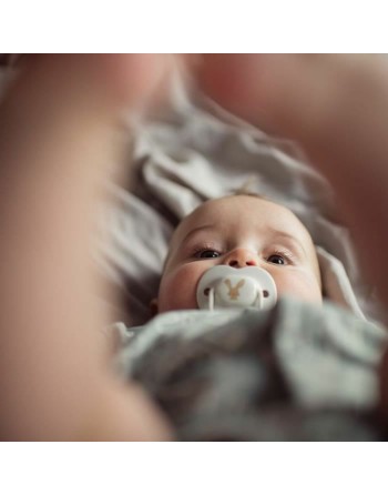 Sut Tommee Tippee 6 enheder