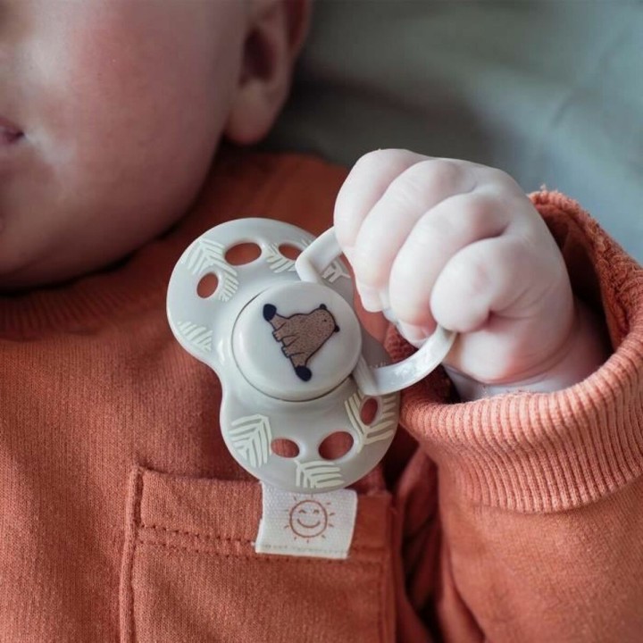 Succhietto Tommee Tippee 6 Unità