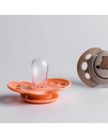 Succhietto Tommee Tippee 6 Unità