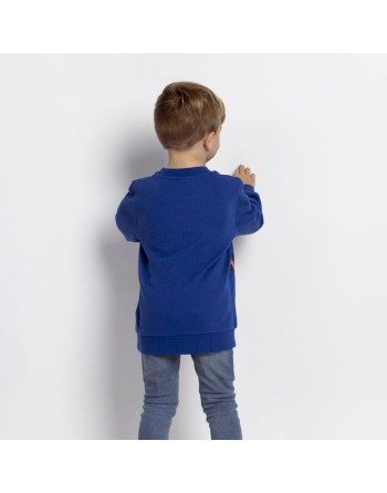 Felpa senza Cappuccio Bambino The Paw Patrol Azzurro