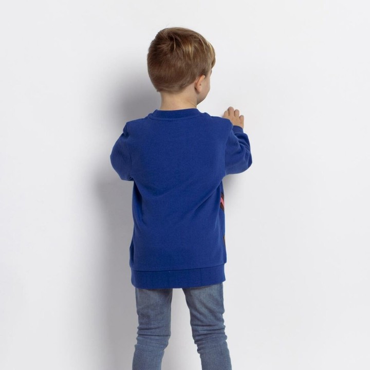 Sweaters uden Hætte til Børn The Paw Patrol Blå