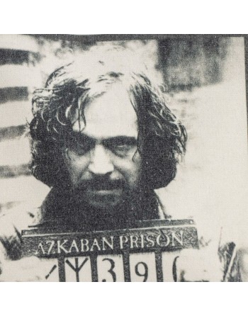 Håndtasker til damer Harry Potter Sort 36 x 39 x 0,4 cm