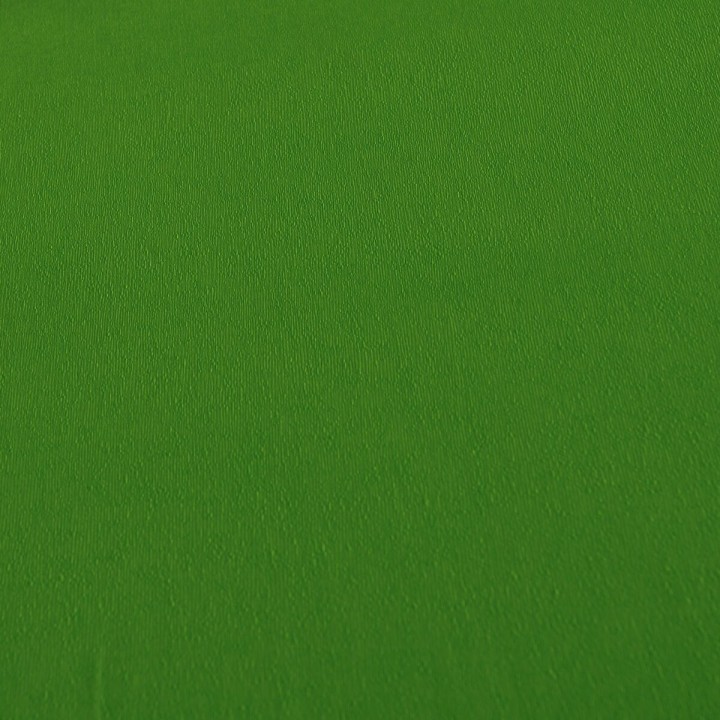 Ensemble de Papeterie Canson Standard Vert Rose 10 Unités