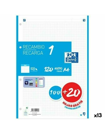 Schein Notizblock Oxford Loch x 4 90 g/m² (13 Stück)