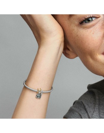 Ladies' Beads Pandora 762764C01