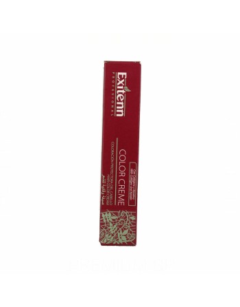 Tinte Permanente Exitenn 13262 Rojo (60 ml)