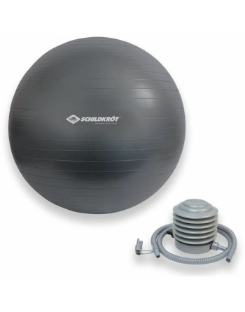 Inflatable ball Schildkröt Grey