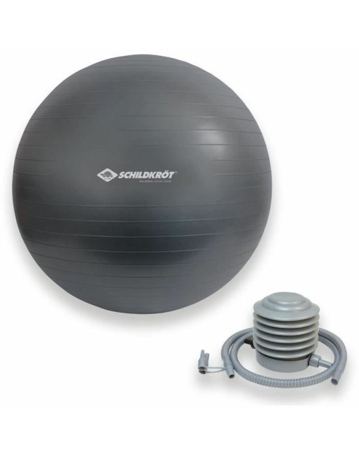 Inflatable ball Schildkröt Grey