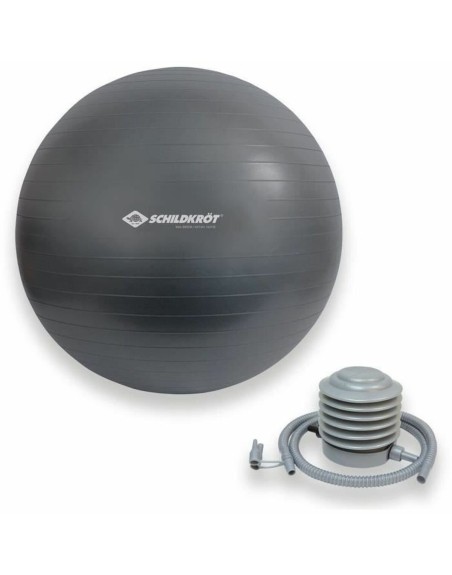 Inflatable ball Schildkröt Grey