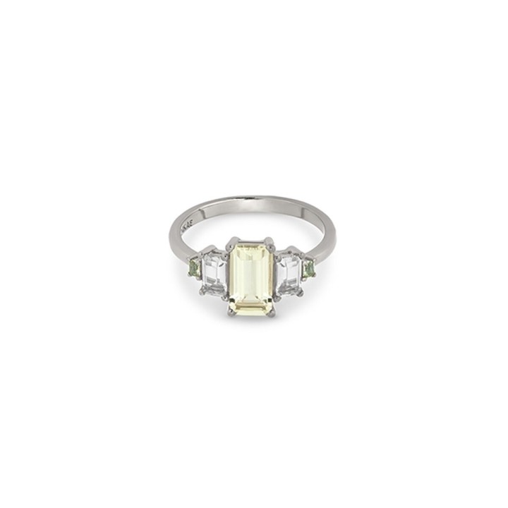 Ladies' Ring 24KAE 12411S/58 18 Silver