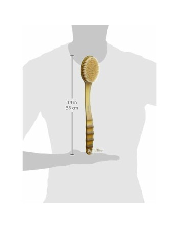 Cepillo de Baño Beter Cepillo