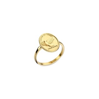 Ring til kvinder AN Jewels AAC.R01Y-8 8