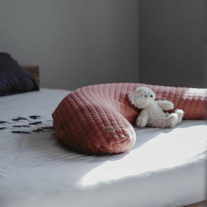 Pude til amning Béaba Terrakotta