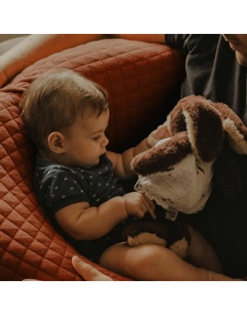 Cuscino per l'Allattamento Béaba Terracotta