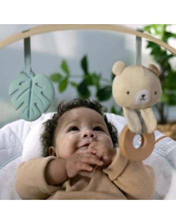 Hamac pour Bébé Ingenuity