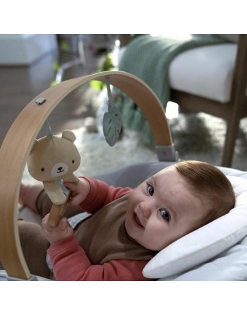 Hamac pour Bébé Ingenuity