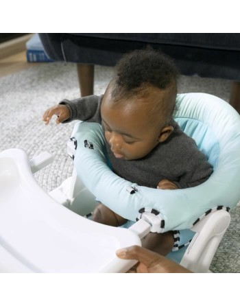 Hammock Baby Einstein Blue