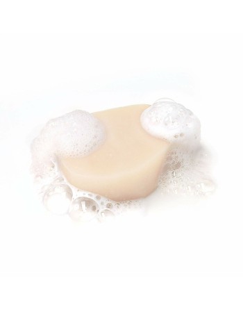 Shampoo Bar Garnier Original Remedies X Moisturizing Coconut 2 Units 60 g