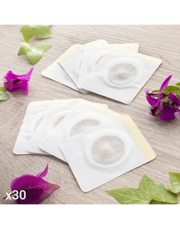 Set of Magnetic Slimming Patches with Plant Extracts Patmic InnovaGoods 30 Units