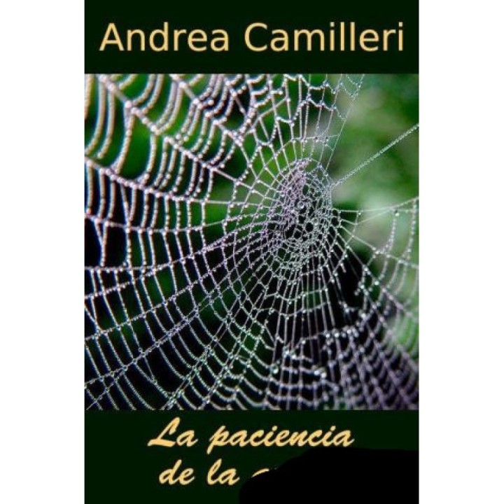 La paciencia de la araña