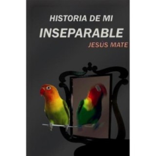 Historia de mi inseparable