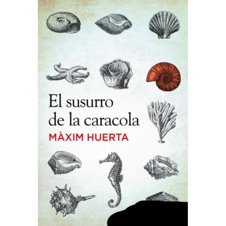 El susurro de la caracola