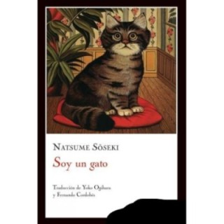 Soy un gato