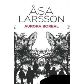 Aurora boreal