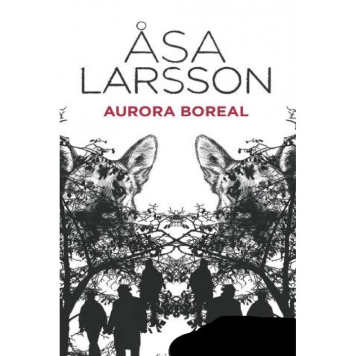 Aurora boreal