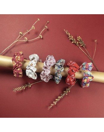 Elastiques pour Cheveux Harry Potter Multicouleur