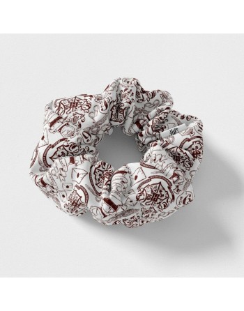 Elastici per Capelli Harry Potter Multicolore