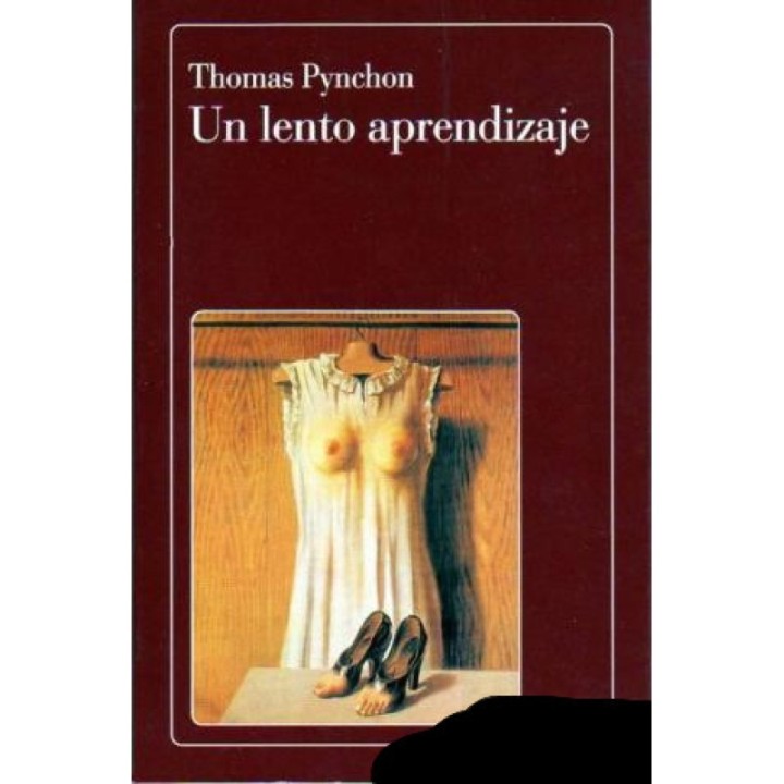 Un lento aprendizaje