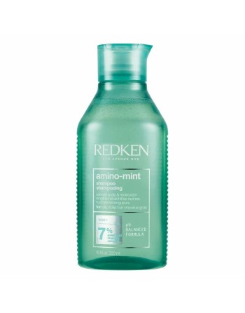 Purifying Shampoo Redken E3823800 (300 ml)