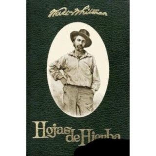 Hojas de hierba