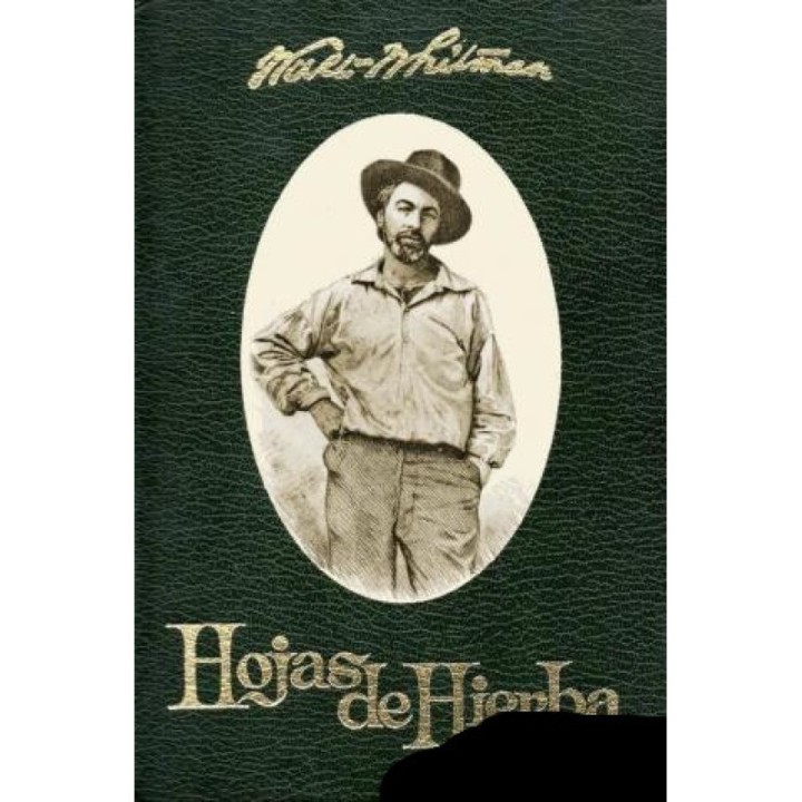 Hojas de hierba