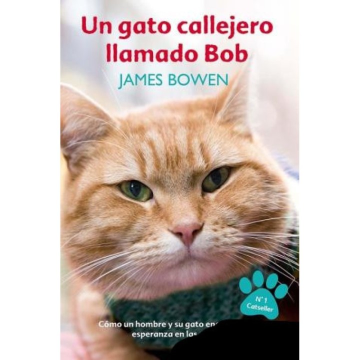 Un gato callejero llamado Bob