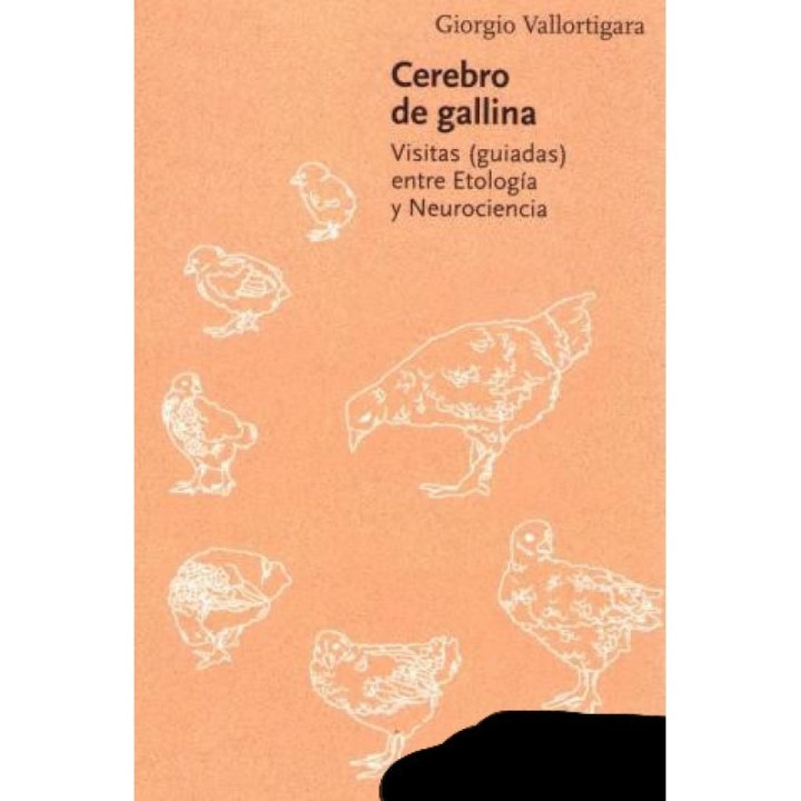 Cerebro de gallina