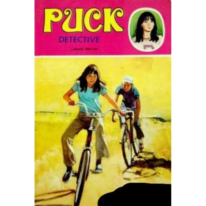 Puck detective