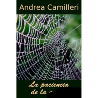 La paciencia de la araña