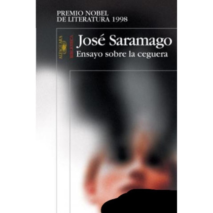 Ensayo sobre la ceguera