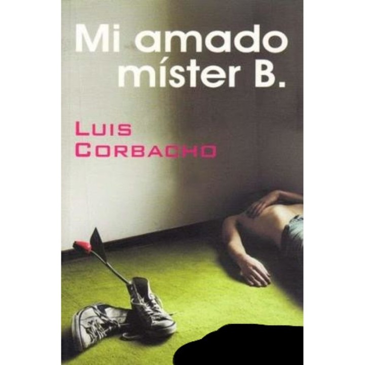 Mi amado míster B.