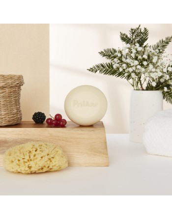 Soap Cake Polaar The Genuine Lapland (100 g)