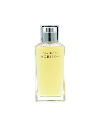 Men's Perfume Davidoff Horizon EDT 125 ml