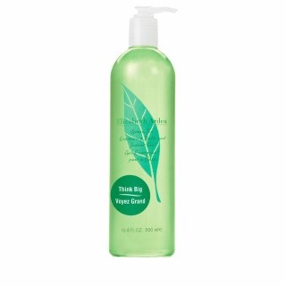 Shower gel Elizabeth Arden Grøn Te Green Tea (500 ml)