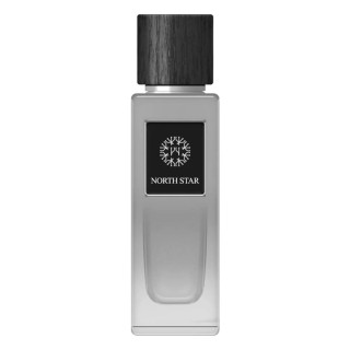 Herreparfume EDP The Woods Collection 100 ml Natural North Star